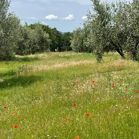 The Stone House Apartment Marciaso