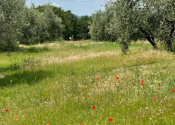 The Stone House アパート Marciaso