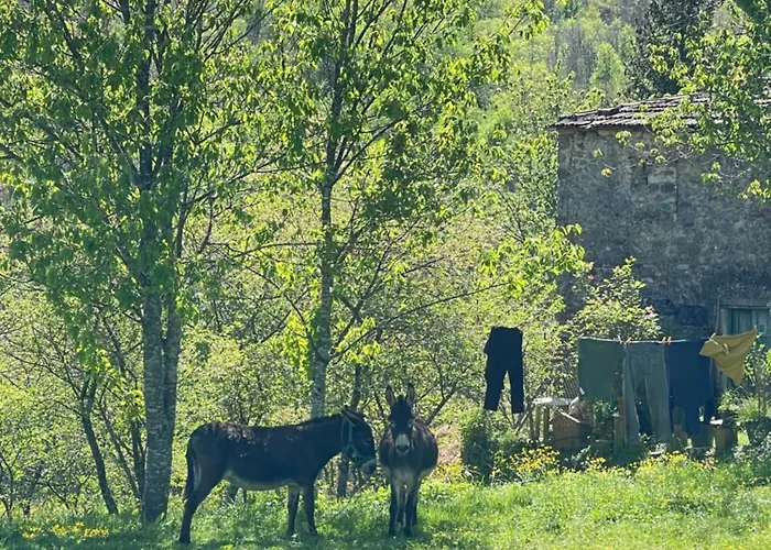 アパート The Stone House *